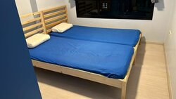 Blk 606D Tampines Greenridges (Tampines), HDB 4 Rooms #456887931